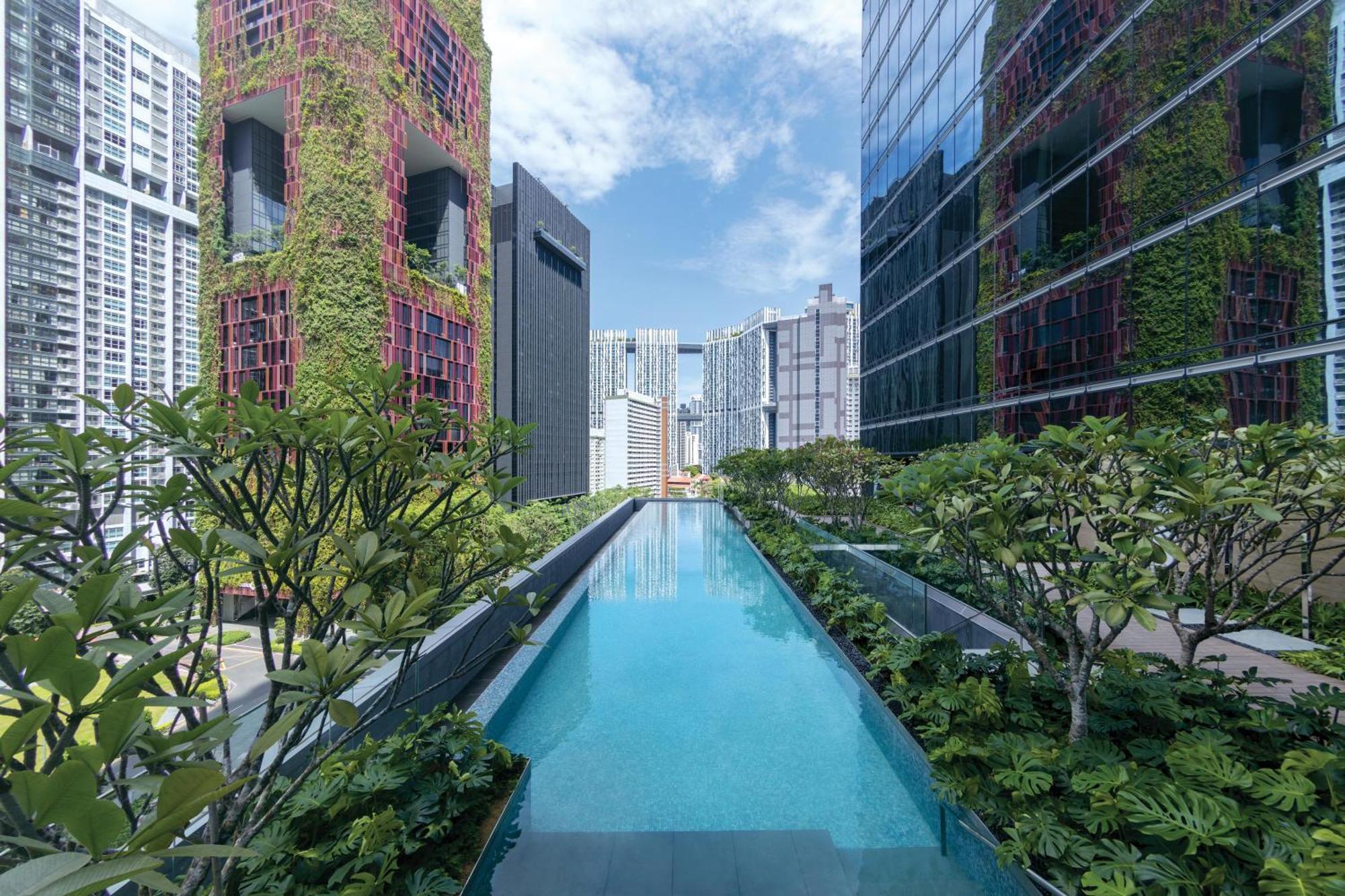 Sofitel Singapore City Centre מראה חיצוני תמונה